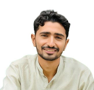 ali raza web developer